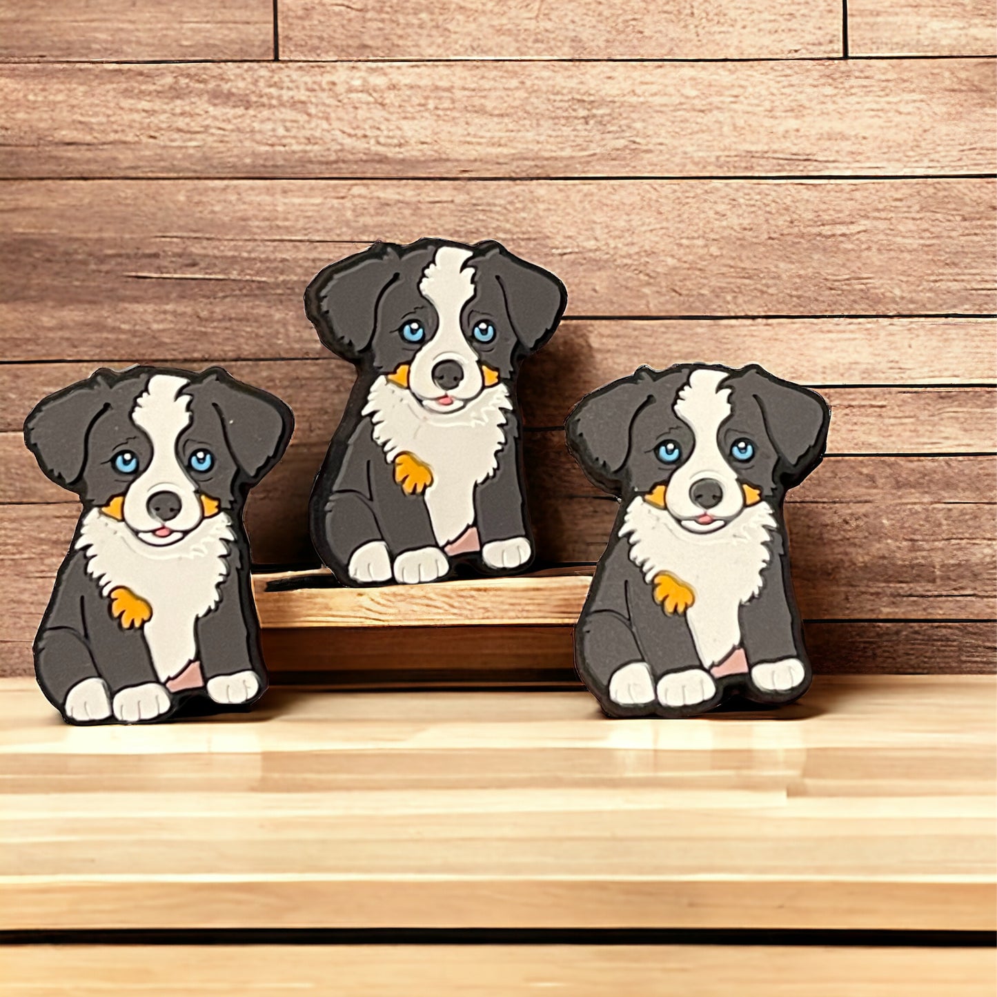 Aussie dog Focal