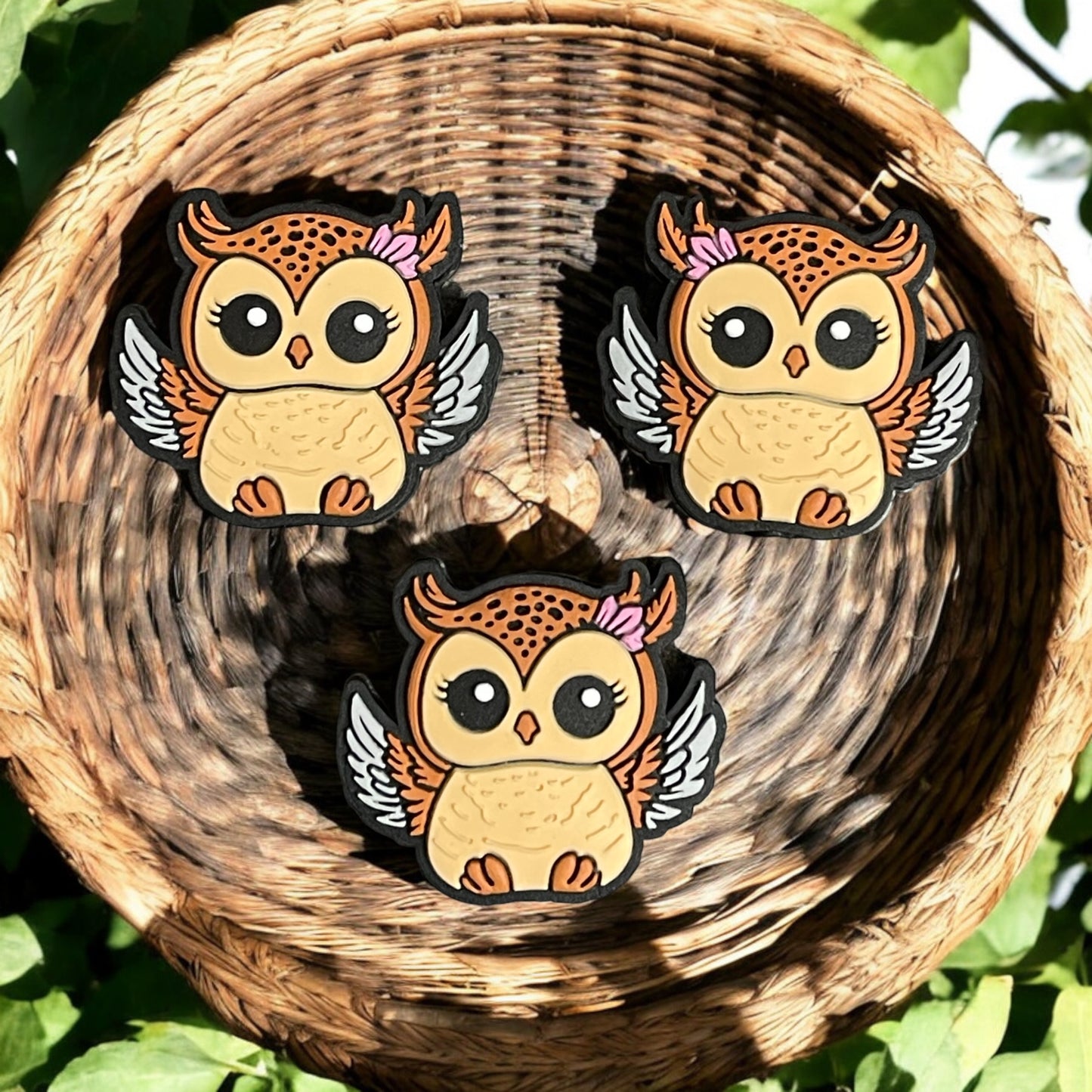Happy Owl Focal