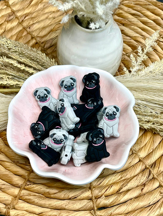 Grey Pug Focal