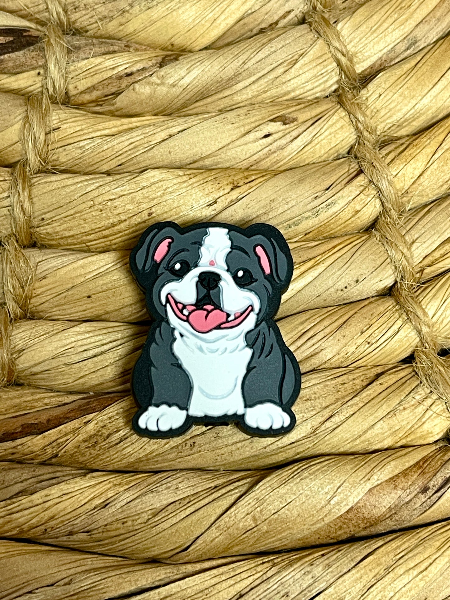 Bulldog Focal