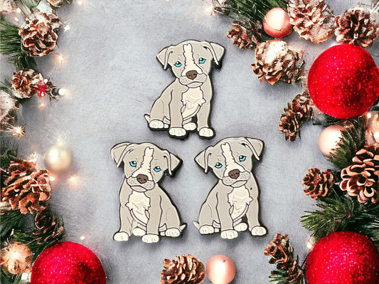 Pitbull dog Focal