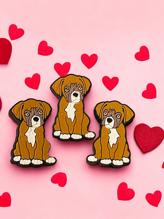 Boxer dog Focal