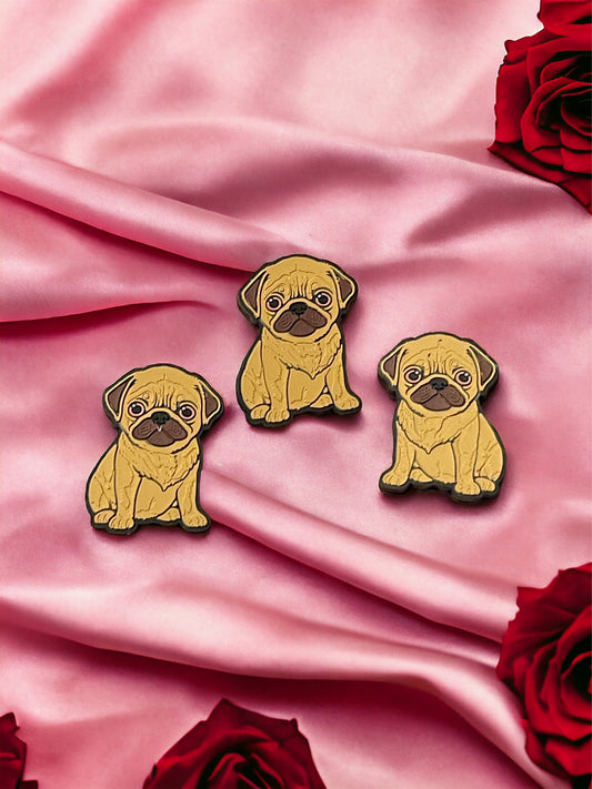 Pug dog Focal