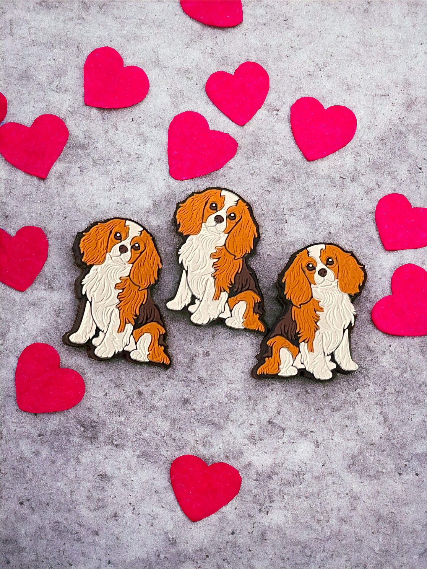Spaniel dog Focal