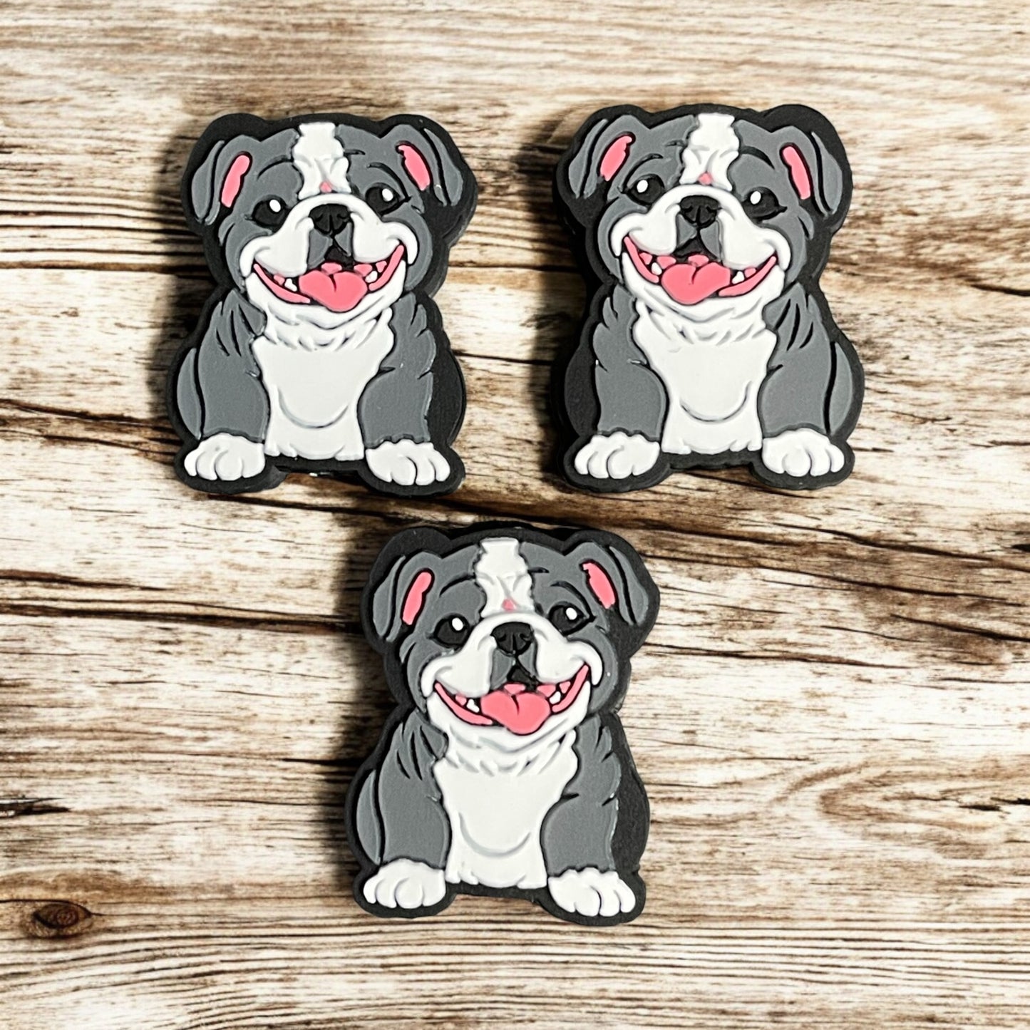 Bulldog Focal