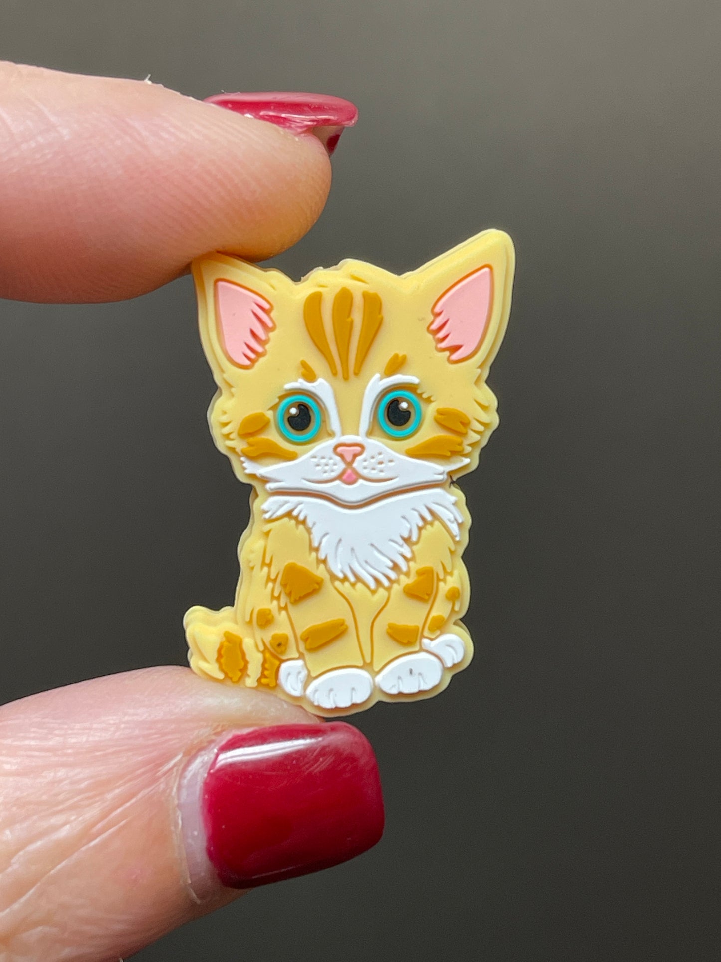 Orange Kitty Focal
