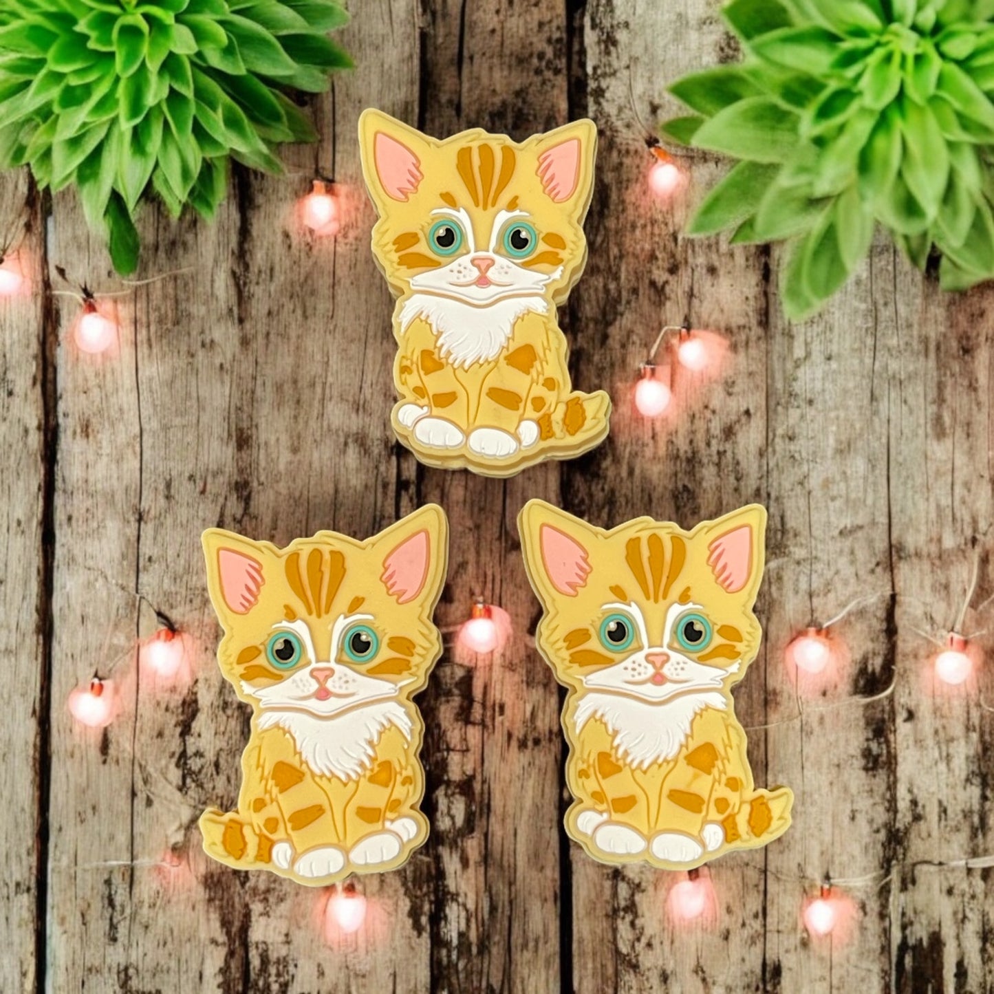 Orange Kitty Focal