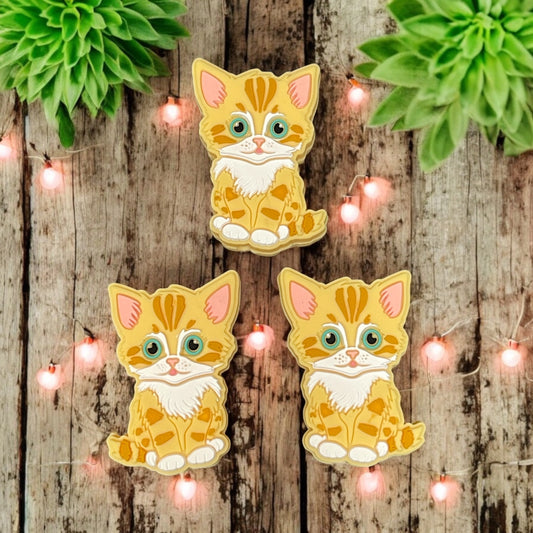 Orange Kitty Focal